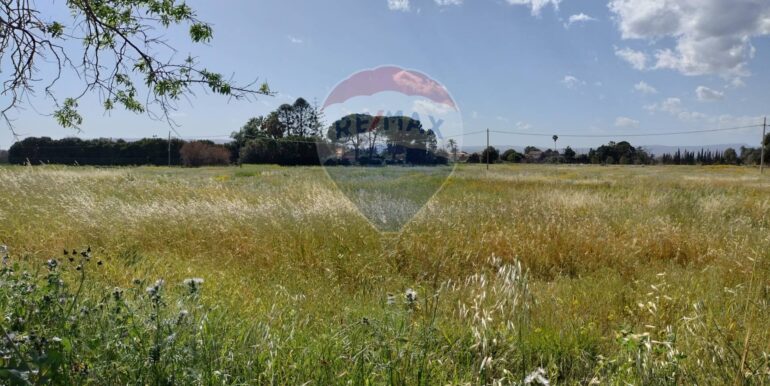 20250723124625-971183-18