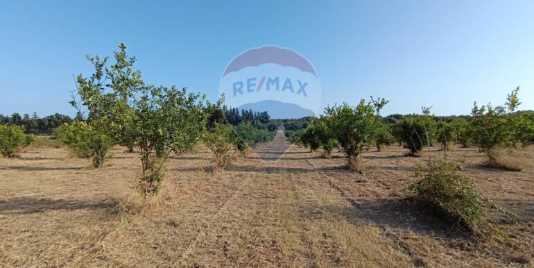 20250724182820-971464-2