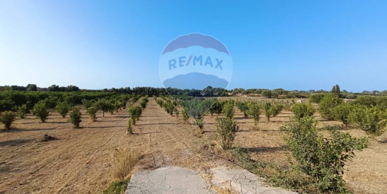 20250724182823-971464-3