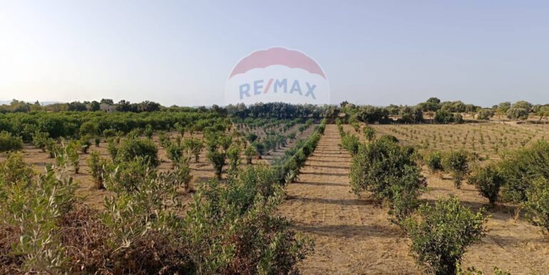 20250724182827-971464-4