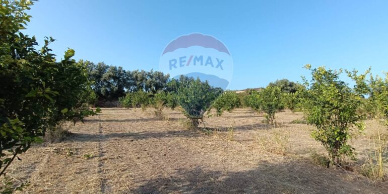 20250724182831-971464-5