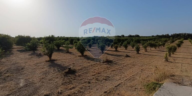 20250724182837-971464-7