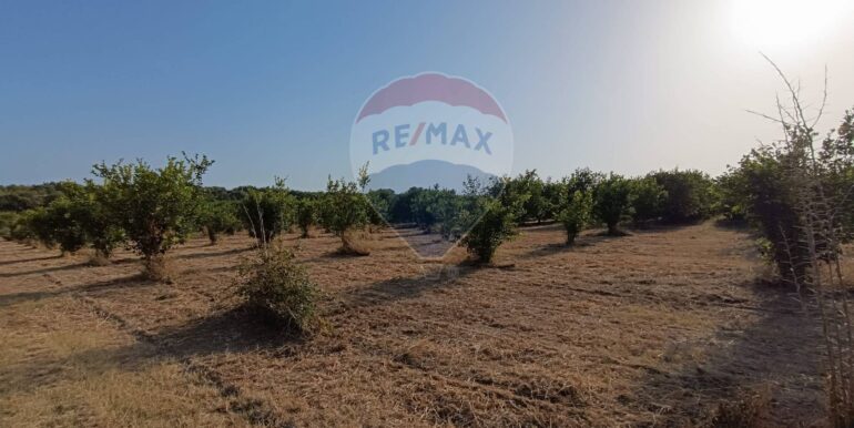 20250724182840-971464-8