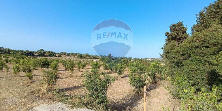 20250724182844-971464-9