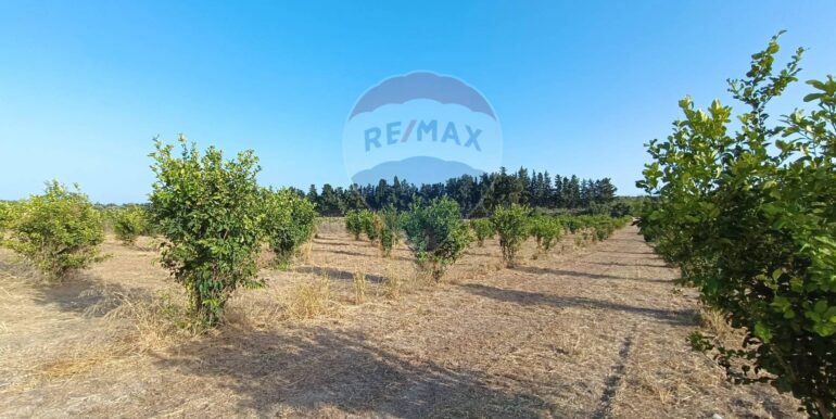 20250724182847-971464-10