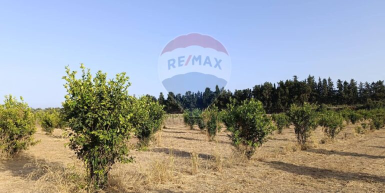 20250724183215-971464-11