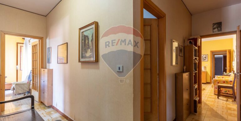 20250728120456-972108-7