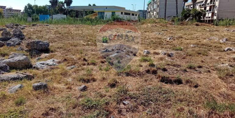 20250804105523-972996-5