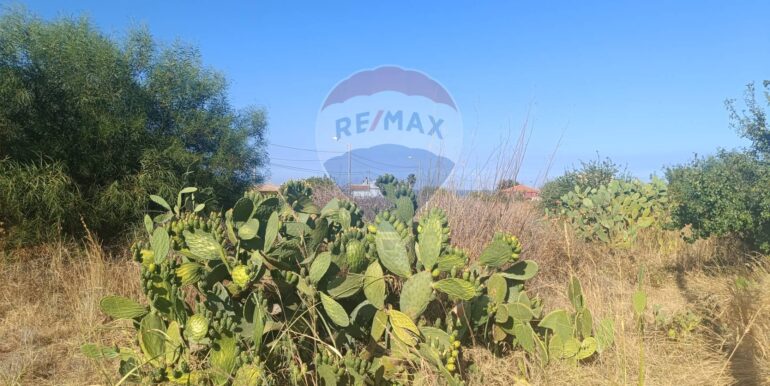 20250805173028-973537-11