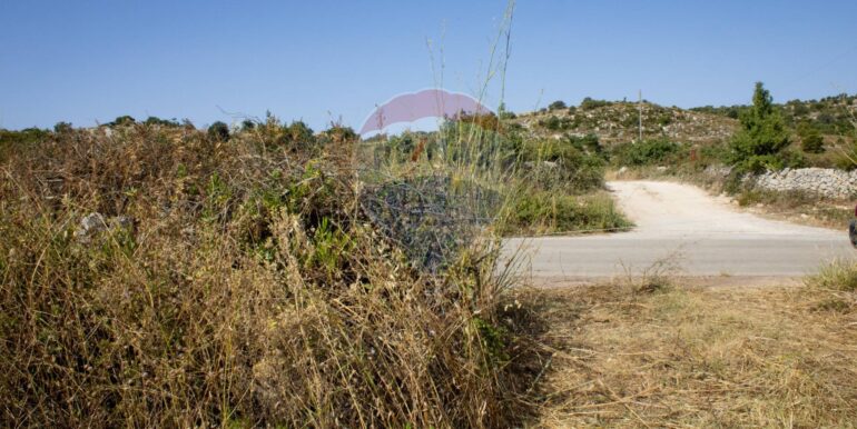 20250806123743-973907-2