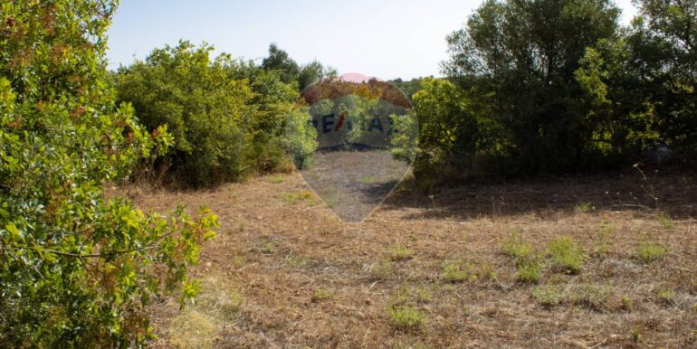 20250806123757-973907-6