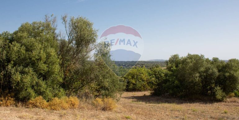 20250806123800-973907-7