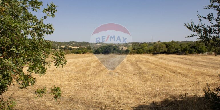 20250806123804-973907-8