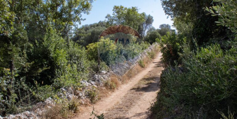 20250806123808-973907-9