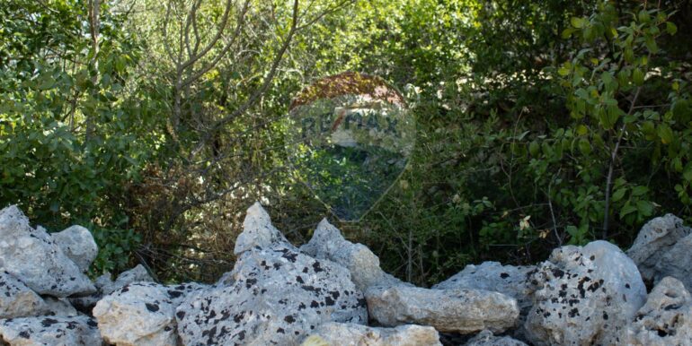 20250806123812-973907-10