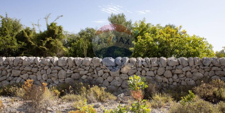 20250806123821-973907-12