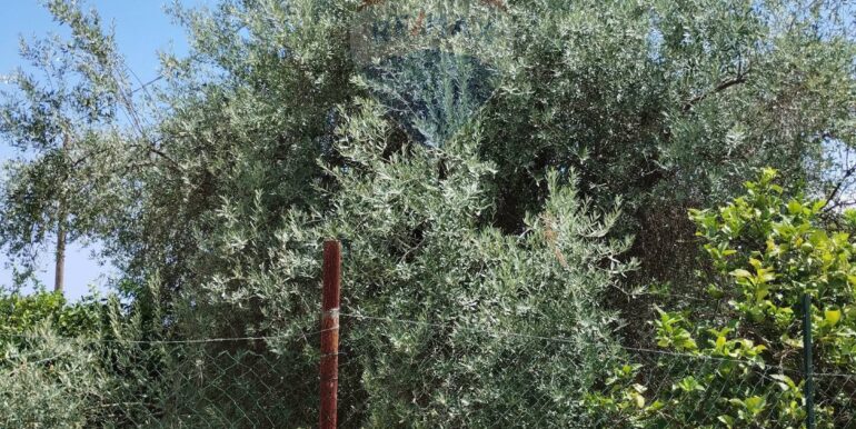 20250806134951-973365-1