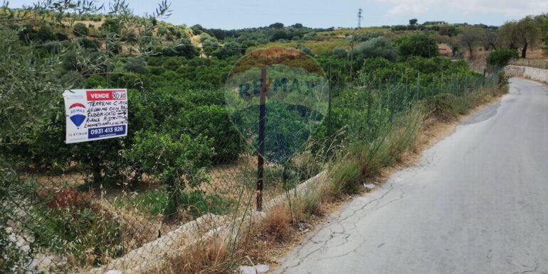 20250806135001-973365-3