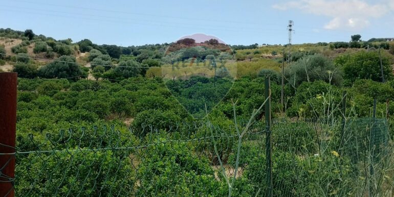 20250806135006-973365-4