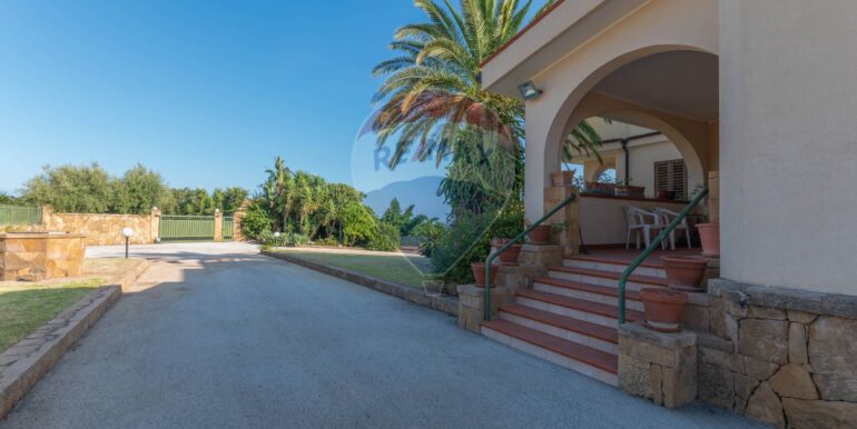 2025080871021-974023-24