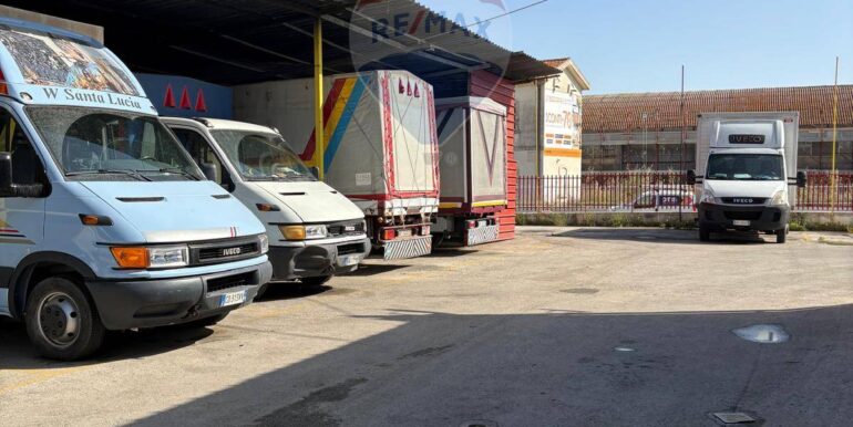 2025080874427-974263-18