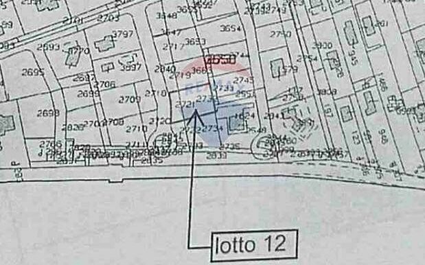 2025081693535-969713-12