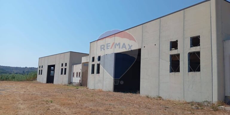 20250819165559-975070-1