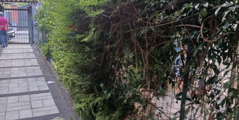 20250819204020-975082-9