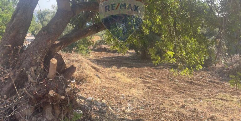 20250821173528-973343-8