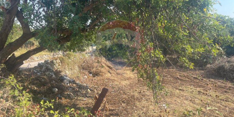 20250821173538-973343-11