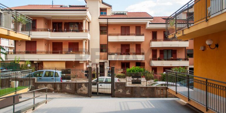 2025082124457-975239-1