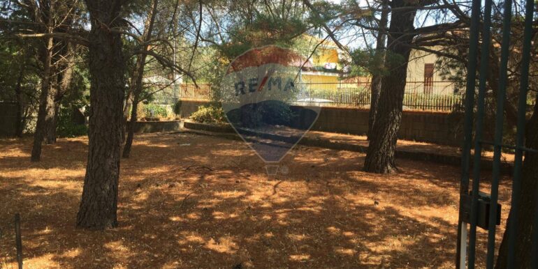 20250822112003-974236-6