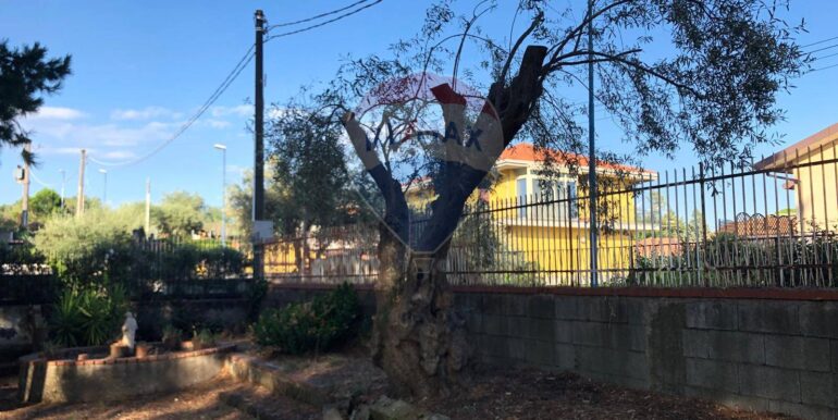 20250822112009-974236-8