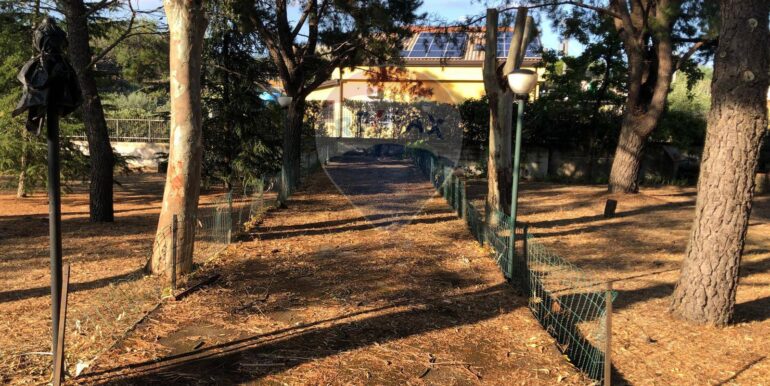 20250822112015-974236-10