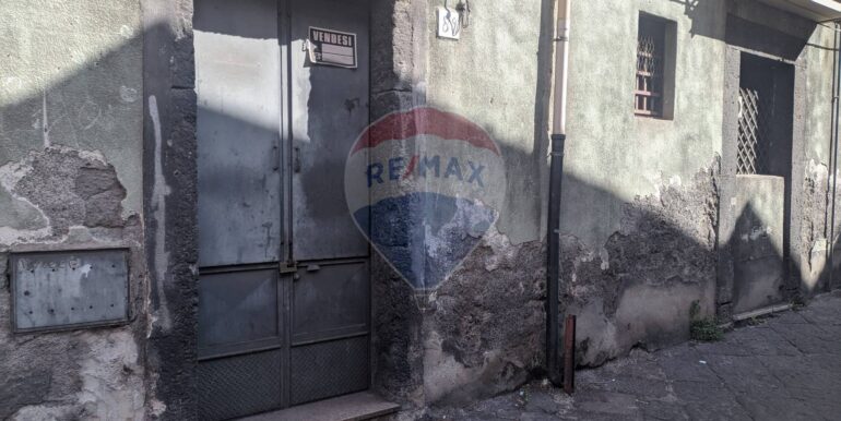 2025082784655-975719-7