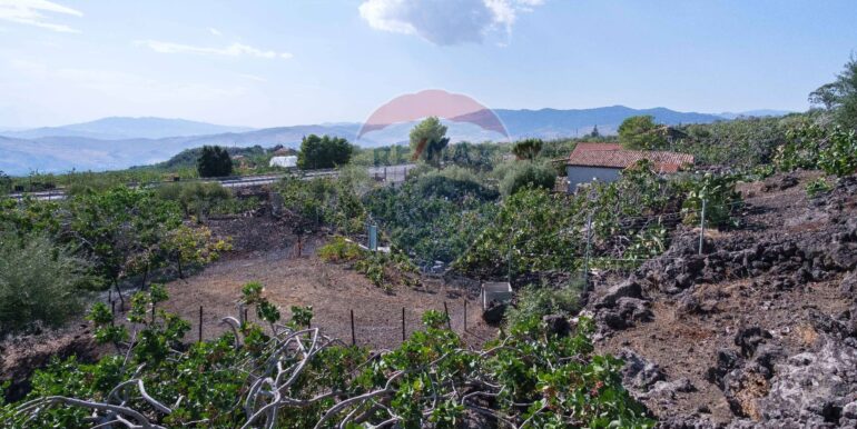 20250828105813-975345-7