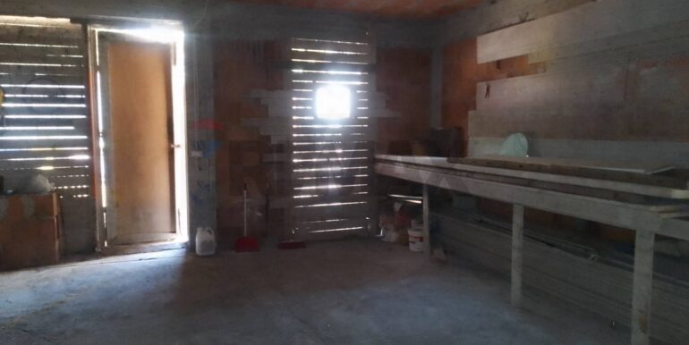 2025082875515-976045-23