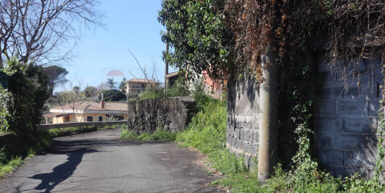 20250902171954-977271-5