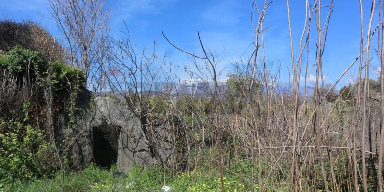 20250902171957-977271-12