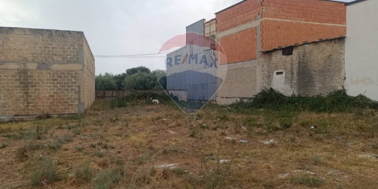 20250903150321-977464-3