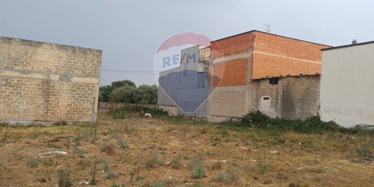 20250903150339-977464-8