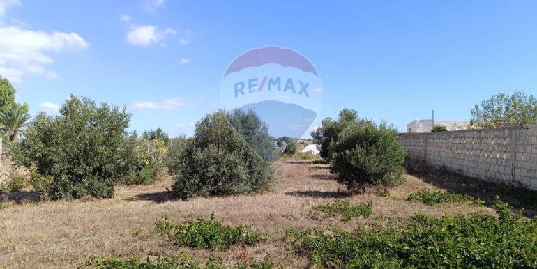 20250904174301-978037-5