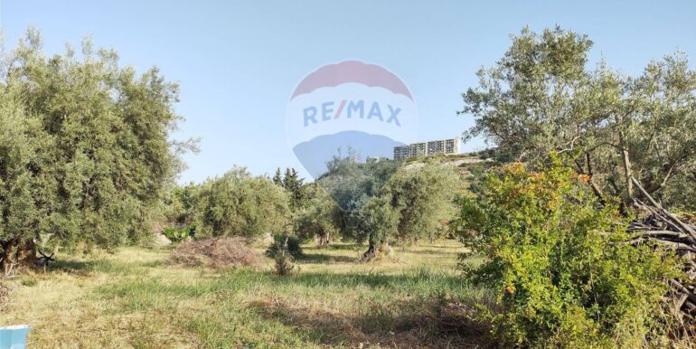 20250912153258-982667-4