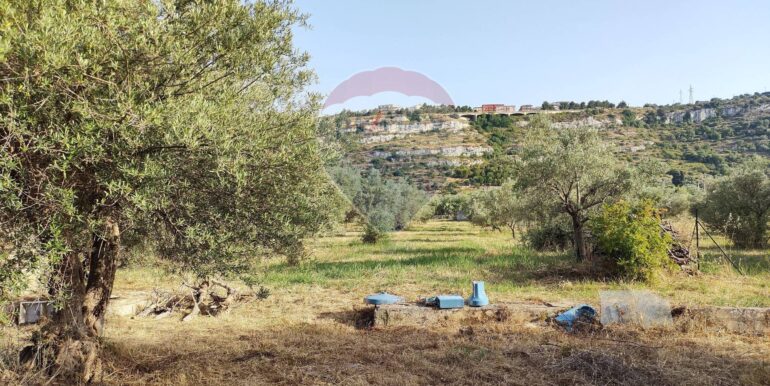 20250912153259-982667-6