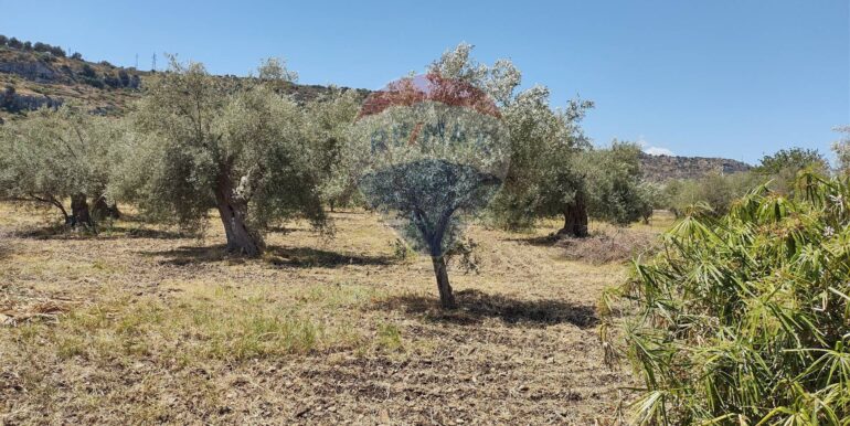 20250912153302-982667-13