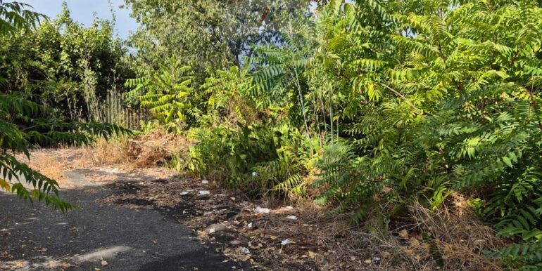 20250913121136-982785-4