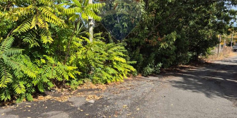 20250913121139-982785-5