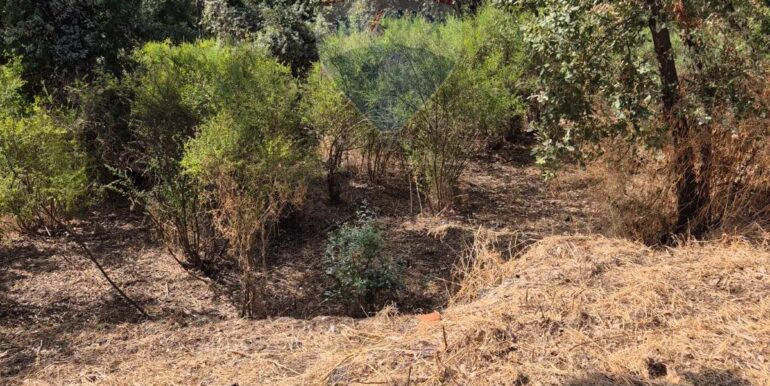 20250913121146-982785-7