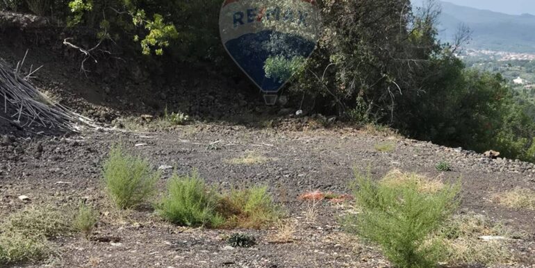 20250913121151-982785-9