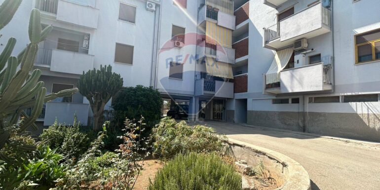 20250915191928-983353-5